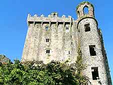 Blarney Castle picture