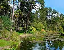 Fota Wildlife Park image