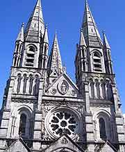 St. Finbarre's Cathedral photo