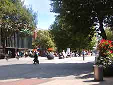 Picture of the Bull Yard area