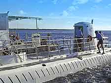 Picture of Cozumel Atlantis Submarine