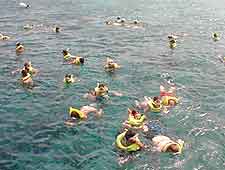 View of snorkellers in the summer