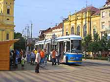 Photo of trams in the city centre