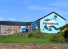 Oceanworld Aquarium picture