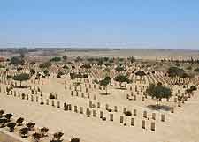 Photo showing the War Cemetery in El Alamein