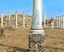 Further view of Ancient Salamis