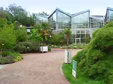 Picture of the Palm Gardens (Palmengarten)