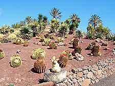 Scenic photo of Oasis Park in Fuerteventura