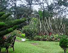 Aburi Botanical Gardens photograph