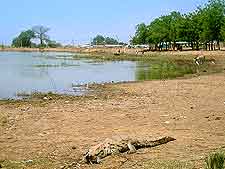 Photo showing the Paga Crocodile Pond