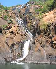 Picture of trekking trails around the Dudhsagar Falls