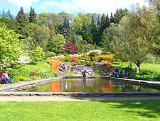Further picture of the Botaniska Tradgarden