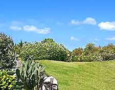 Bermuda Botanical Gardens photo