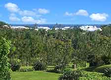 Further picture of the Bermuda Botanical Gardens