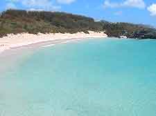 Picture of Elbow Beach