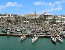 Hamilton Marina photo, showing the multitude of expensive yachts