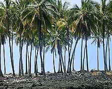 View of Big Island's Kamakahonu Beach