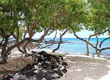 Picture taken at the Kikaua Point Beach