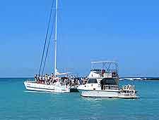 Photo showing whale watching cruises