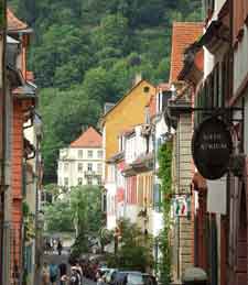 Picture of the Old Town (Altstadt)