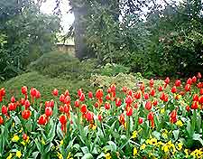 Hobart Parks and Gardens