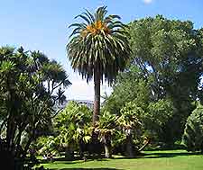 Hobart Parks and Gardens