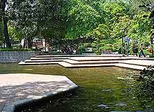 Picture showing Kowloon Park