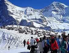 Photo of winter skiers