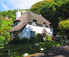 Picturesque cottage on the Isle of Wight