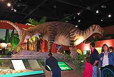 Isle of Wight Museums and Art Galleries