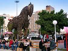 Photo of famous horse at Canakkale