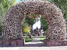 Image of an Antler Arch