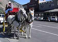 Photo of horse and carriage ride