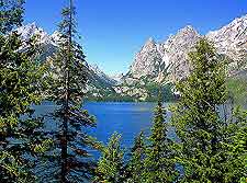 Photograph showing a view of Jenny Lake