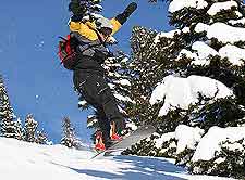 Photo of snowboarder enjoying the seasonal weather
