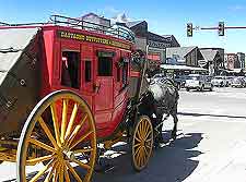 Close-up picture of horse and carriage