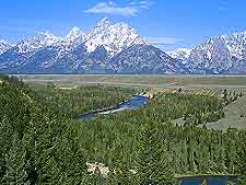 Scenic photo of the parkscape