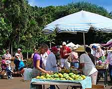 Different photo of the Koloa Market