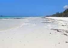 Picture of Diani Beach