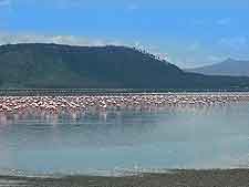 Lake Nakuru National Park photograph