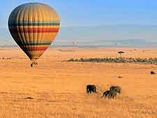 Picture of hot-air balloon flying over the Maasai Mara National Reserve