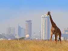 Nairobi National Park picture, showing the city's skyline