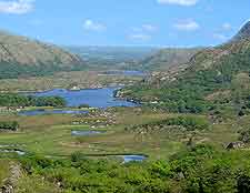Ladies' View