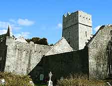 Muckross Friary photo