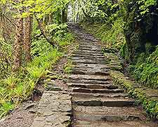 Picture of pathway within the park