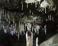 Crag Cave image, showing stalactites