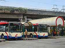 Image of city buses