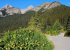 Further image of the popular Shoreline Trail