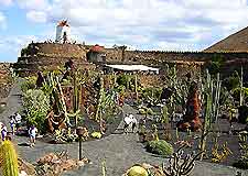 Image of Lanzarote's the Jardin de los Cactus