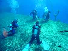 Scuba diving photo